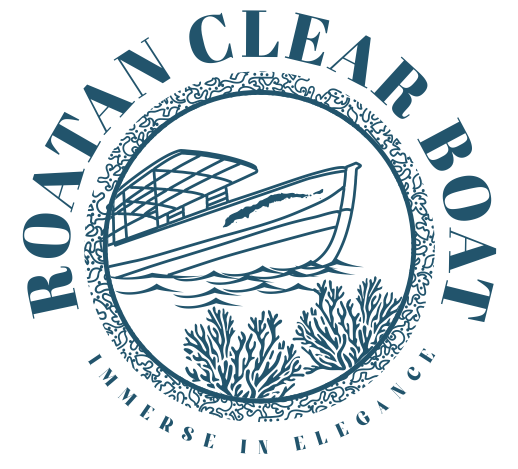 Roatan Clear Boat